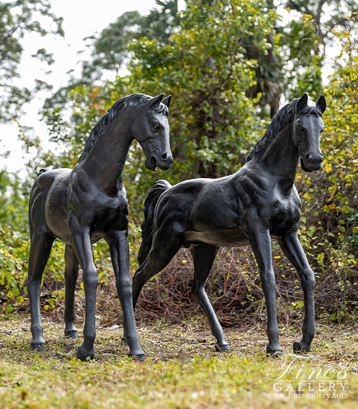 Bronze Statues  - A Pair Of Horses In Lost Wax Bronze - BS-1736